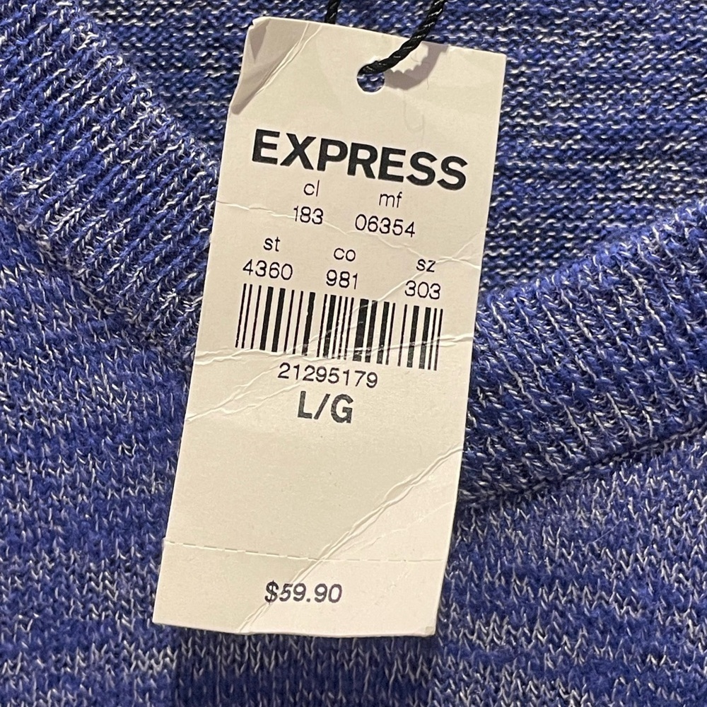 Express Blue and White V-Neck Sweater Size L - Picture 4 of 7
